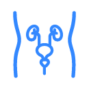 picto-prostate_anatomie-role
