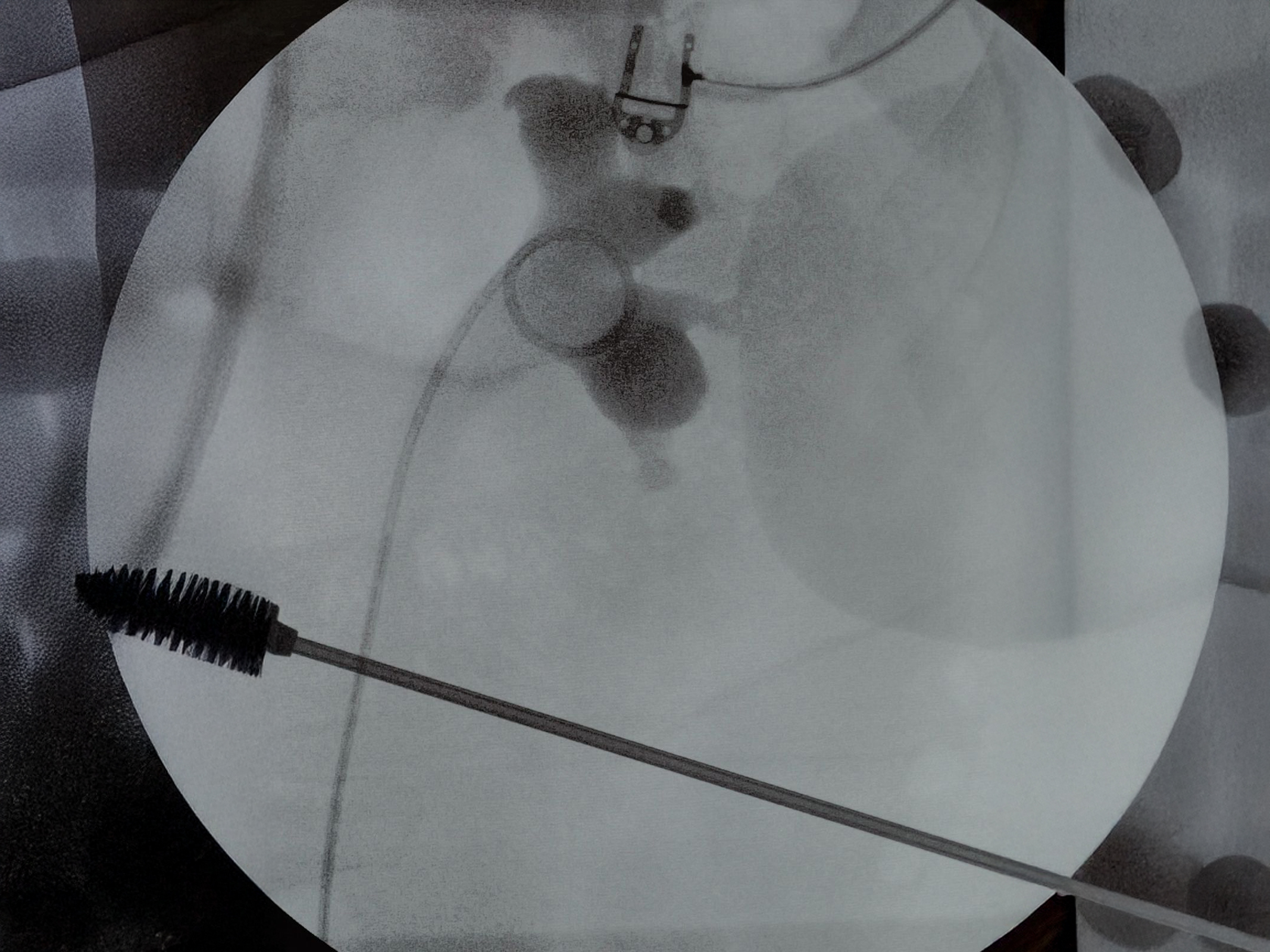 sonde jj